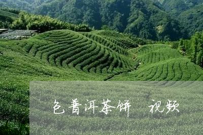 包普洱茶饼 视频/2023041301826